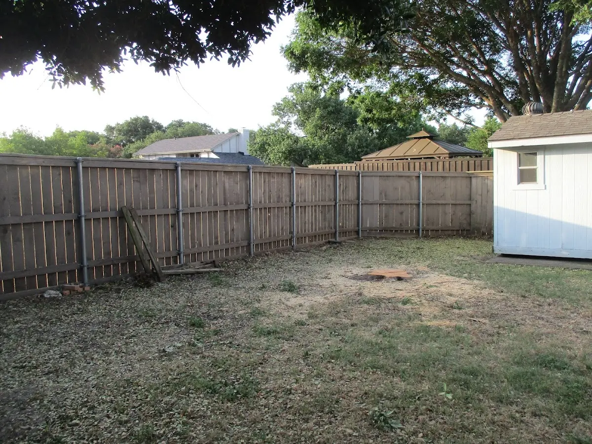 Cleared yard after professional tree removal in Milledgeville