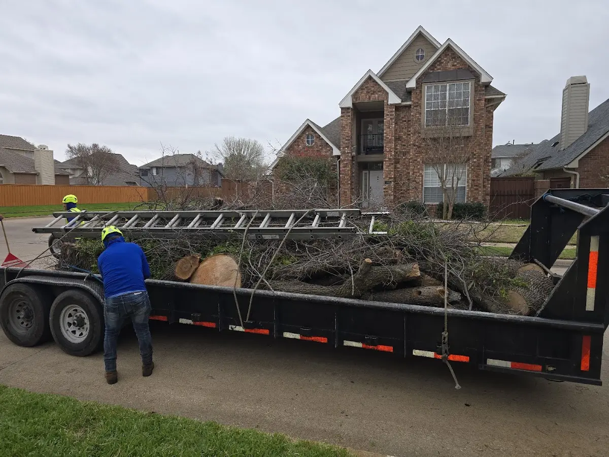 Expert Tree Pest Control with proper safety equipment in Milledgeville